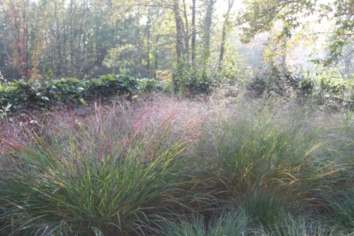 Stipa S.R.L. - Espaces verts Stipa S.R.L. - Espaces verts