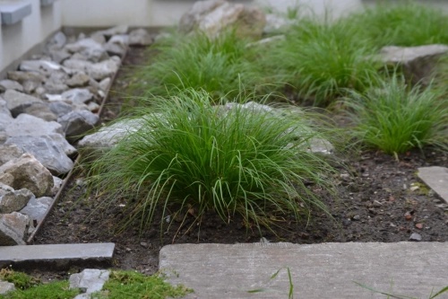 Stipa S.R.L. - Espaces verts Stipa S.R.L. - Espaces verts