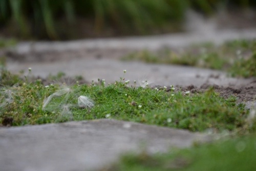 Stipa S.R.L. - Espaces verts Stipa S.R.L. - Espaces verts